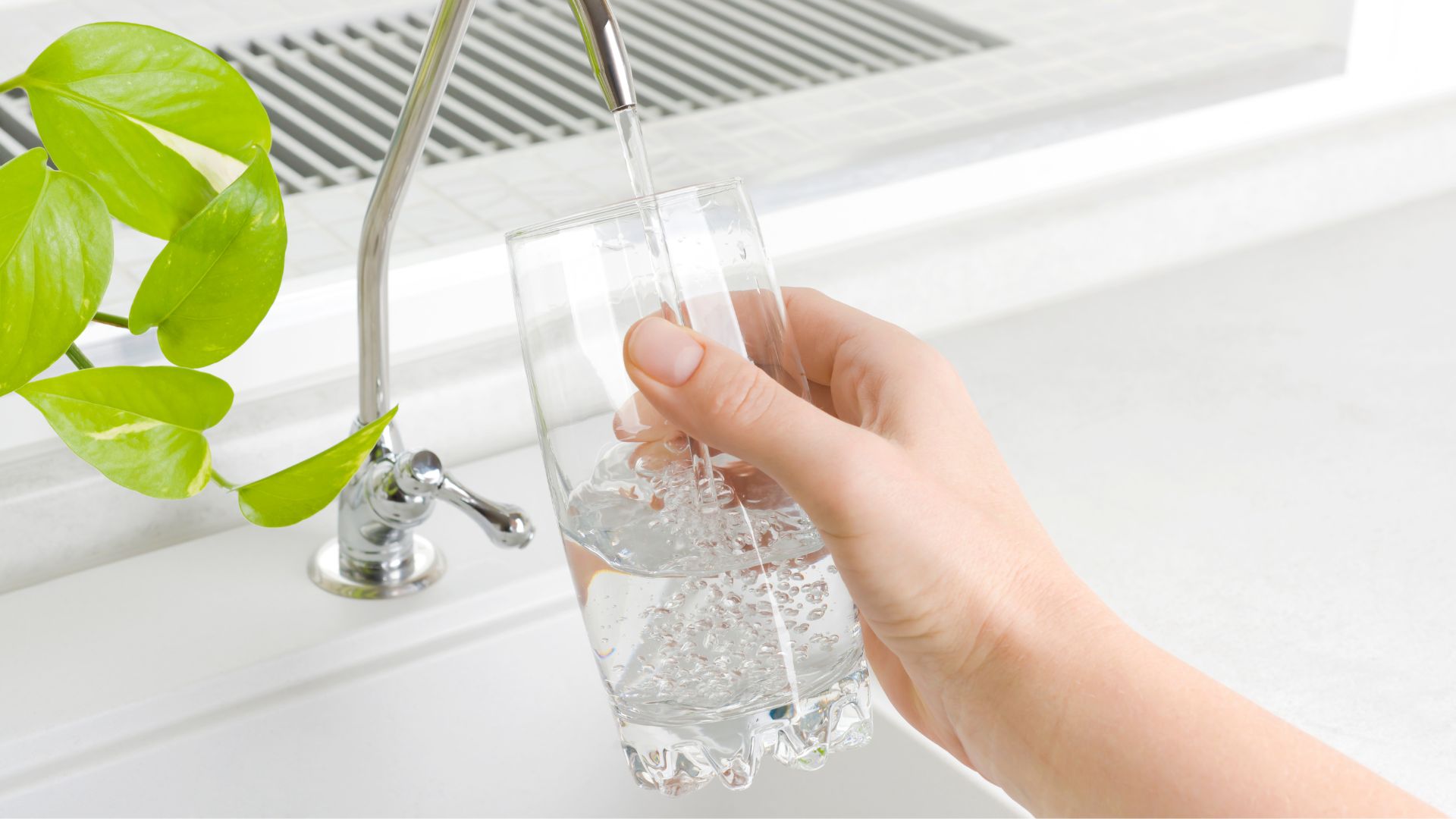Water Filter Delivers