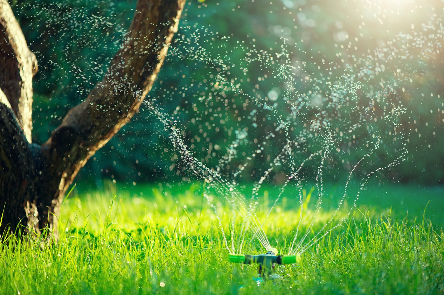 Sauk Plains Plumbing Water Wells