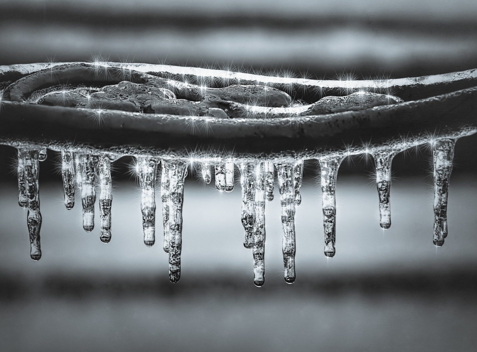critical as Wisconsin’s winter